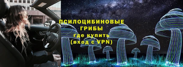 бошки Балахна