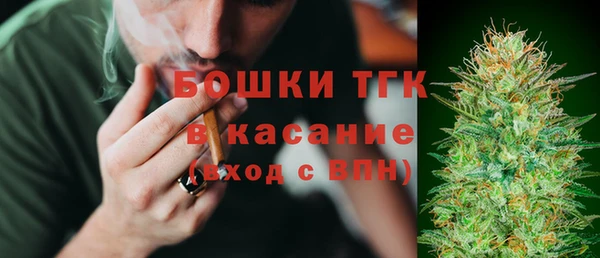 шишки Баксан