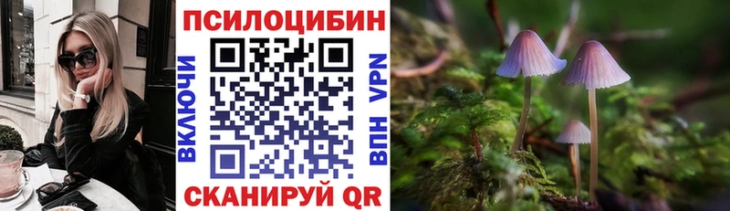 Псилоцибиновые грибы прущие грибы  продажа наркотиков  Радужный 